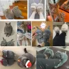 Boots 2022 Cute British Shorthair Cat Slippers For Women Men Who Loves Kitty Indoor Fluffy Plush Home Shoes Fur Slides Mules Slippers