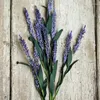 الزهور الزخرفية Senanke Myosotis Sylvatica Lavender