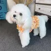 Ropa para perros Chaleco de verano Dobladillo con volantes Algodón de dos patas Impresión de frutas Camiseta para mascotas Camisa de disfraz