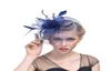 Chapeaux de mariée plume fascinateur cheveux mariée cage à oiseaux voile chapeau chapeaux de mariage fascinateurs pas cher Femin cheveux fleurs pour fête de mariage5803330