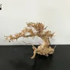 100% rękodzieło akwarium bonsai drifwood drzewo mchu bonsai drifwood drzewo drzewa drewniane ornament naturalne gałęzie 240401