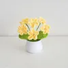 Decoratieve Bloemen Kunstbloem Ingemaakte Handgebreide Gehaakte Kleine Plant Desktop Ornament Thuis Bruiloft Decoratie Geschenken