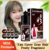 Color 400ml Nonstick Scalp Natural MultiColor Hair Dye Shampoo Permanent Fast Bubble Hair Dyeing For Woman Men Cover Grey Hair