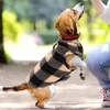 犬のアパレルチェックベスト子犬のペット衣類Dリングリーシュアタッチメント