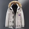 Designer Far Levy Goose Jacket Menadian Parka 90% White Duck Down Mink Collar Par Pappstorlek: S-5XL