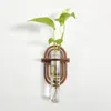 Vases Wall Suspending Hanging Propagation Station For Plants Planter Transparent Hydroponic Tubes With Wood Back Gardening Supply