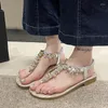 Sandálias Mulheres Cristal Flats Clip Tos Casual Sapatos Aconchegantes Caminhando Chinelos 2024 Verão Moda Vestido Flip Flops Mujer Slides