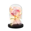 Fleurs décoratives préservées, couverture en verre, ornements avec lumières, œillet, tulipe, Rose éternelle dans un dôme pour maman, petite amie, épouse