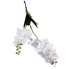 Fleurs décoratives orchidée papillon artificielle Durable 12 têtes orchidées en plastique pour Bouquets de mariée décorations pour la maison