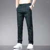 Pantaloni da uomo MINGYU Marchio di abbigliamento Classici Plaid Uomo Business Grigio Verde Party Lavoro Retro Primavera Estate Pantaloni casual Uomo 28-38