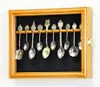 Decorative Plates 10 Spoon Display Case Cabinet Wall Mount Rack Holder W/98% UV Protection Lockable