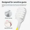 Nuevo cepillo de dientes de carbón volcánico nuevo 2024 Agrama de dientes de carbón blanda de fibra portátil de eCo Bursh Premium Higiene oral Dropshipping para