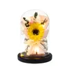 Fleurs décoratives préservées, couverture en verre, ornements avec lumières, œillet, tulipe, Rose éternelle dans un dôme pour maman, petite amie, épouse