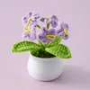 Decoratieve Bloemen Kunstbloem Ingemaakte Handgebreide Gehaakte Kleine Plant Desktop Ornament Thuis Bruiloft Decoratie Geschenken