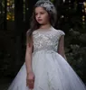 Платья для девочек, роскошное платье трапециевидной формы с цветочным узором для свадьбы, серебряное кружевное платье с аппликацией, праздничное платье принцессы, платье для первого причастия, размер от 2 до 16 лет.
