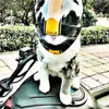 アトバンハンサムペットヘルメット猫ドッグキャップ