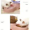 Automatyczna karma dla zwierząt 38L Duża zdolność do karmienia wodociągowego naczynia żywnościowe pies miska kota fontanna picia 240304