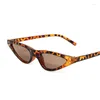 Sunglasses Cat Eye Shape Women Fashion Style Rivets Decoration Cool Sun Glasses Stage Show Performance Female Sunglass