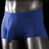 Calzoncillos Hombres Boxers Elástico Mediados De Cintura Color Sólido Elefante Nariz Sin Costuras U Convexo Ropa Interior Que Absorbe La Humedad