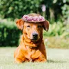 Vêtements pour chiens Mentonnière Chapeau de paille Casquette pour animaux de compagnie Fleurs Décoration Été Tissé Décorations florales