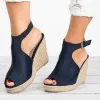 Stiefel Plattform Sandalen Frau Keile Sommer -Frauenschuhe 2023 Kleidsleitungen Gladiator Mules Espadrilles Elegante Luxusmode Medizin