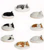 10 patterns Electronic Pets Simulation animal Simulation cat breathing cat lovely cat Real Hair birthday gift animal model 20121223482422