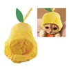 Costumes de chat, chapeau de noël pour animaux de compagnie, mignon en forme de poire pour chiens, fournitures de déguisement, accessoire