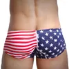 Sous-vêtements hommes Sexy soyeux drapeau imprimé slip string Boxer slips doux Bikini Boxershorts hommes bas de sommeil cadeaux pour homme