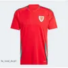 2024 25 Maglie da calcio del Galles Bale Wilson Allen Ramsey World National Team Cup Rodon Vokes Shirt da calcio Casa a maniche corte Usiformi per adulti Fan Player377