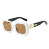 lunettes de soleil design 24 Nouveau pour femmes, polyvalentes, haut de gamme, personnalisées, à la mode, grande boîte, style lunettes de soleil, commerce