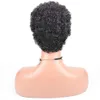 Parrucche sintetiche Parrucche corte di capelli sintetici ricci afro per donne nere Acconciature corte Parrucche taglio corto con capelli sottili Parrucche di capelli biondi castani neri 240328 240327