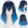 シンセティックウィッグアニメウズイテンゲンコチョウカマドネズコカンロジミツルジハスビタ島inosuke sabito cosplay wig+wig cap 240328 240327