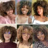 Wigs LINGHANG Short Hair Afro Kinky Curly Wigs With Bangs For Black Women African Synthetic Omber Glueless Cosplay Wigs