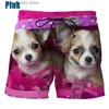 Shorts masculinos estampa completa animal cão padrão praia shorts de gelo para homens casual chihuahua board shorts verão oversized mens natação surf jams y240320