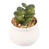 Decorative Flowers Artificial Succulents Fake Simulated Succulent Bonsai Mini Pvc Floral Plants For Home Office Decor