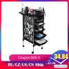 Verktyg Frisörsalong Rolling Trolley Cart Appliance Holders Spa Frisörning Trolley Hair Styling STACTHAT STATION TOOL BARBER Barber Tool