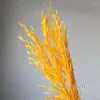 Dekorative Blumen DIY Rustikale Hochzeit Konservierte Hafersträuße Bündel Natürliche goldene trockene Weizenkörner Heimdekoration