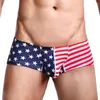 Sous-vêtements hommes Sexy soyeux drapeau imprimé slip string Boxer slips doux Bikini Boxershorts hommes bas de sommeil cadeaux pour homme