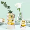 Vaso de vidro manchado, garrafa de aromaterapia sem fogo, decoração com alto teor de borosilicato, arranjo de flores para sala de estar, hidroponia 240318