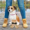 Vestuário para cães 4 unidades de meias para animais de estimação quentes e respiráveis protetores adoráveis