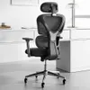 Sytas Home Office Chair、Lumbar Support、3D Armrest、調整可能なヘッドレスト付きデスク、人間工学に基づいたコンピューターチェアハイバック