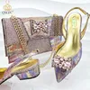 Dress Shoes Nigeria Fashion Evening And Bag Set African Crystal Comfortable Capacity Commuter Women's