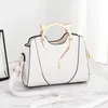 Shoulder Bags Autumn And Winter Fashion Ladies Cute Lady Bag 2024 Simple Messenger Handbag Female