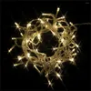 Strings icoco 100 LED Blue Color String Fairy Lights Party Christmas Garden Waterproof IP44 Flash Deal Sale For UK Plug