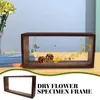 Frames Shadow Box Frame Rectangle Acrylic Wood Storage Desktop Postcard Pressed Flowers Dried Leaf Display Case Specimen Pos