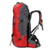 Väskor gratis riddare 60L camping vandring ryggsäckar utomhusväska turist ryggsäckar nylon sportväska för klättring reser med regntäcke