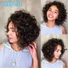 الباروكات الاصطناعية lekker قصيرة الأفرو kinky curly بوب الشعر البشري الشعر الطبيعي للنساء النطاط نطاط حليقة ملونة البرازيلية ريمي أومبي الشقراء الأشقر 240328 240327