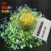 Glitter TCT337 Star Mix Iridescente Arcobaleno Glitter per unghie Nail Art Decorazione Body Art Face Painting Bicchieri per trucco Accessori artigianali