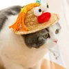 Köpek giyim kostüm saman kapakları Kediler için Partisi Partisi Başlık Giydirme Şapka Festivali Doğum Günü Partileri Mini
