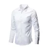 Hela säsongen Fashion Mens Business Dress Slim Fit Working Shirt Anti-Wrinkle Solid Long Sleeve Social Formal Shirts For Men 240319